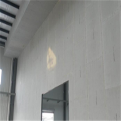 红星宁波ALC板|EPS加气板隔墙与混凝土整浇联接的实验研讨